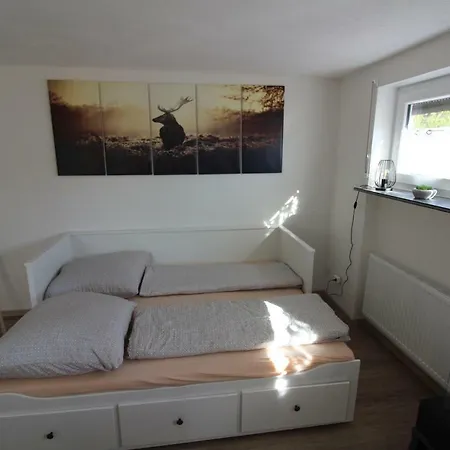 Schwarzwaldnest Lägenhet *